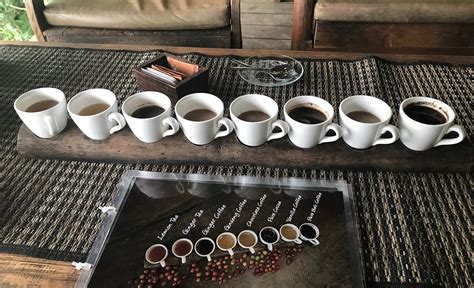 Coffee Factory Bali