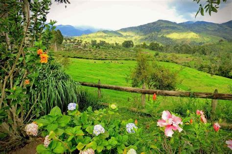 coffee farm Colombia