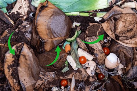 Coffee Filter In Compost