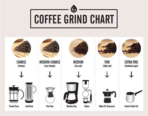 Coffee Grinding Guide