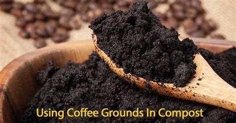 coffee grounds as compost