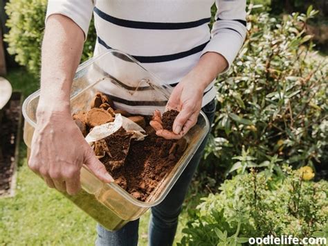 Coffee Grounds To Deter Dogs