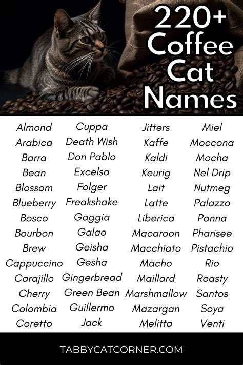 Coffee Names For Cat