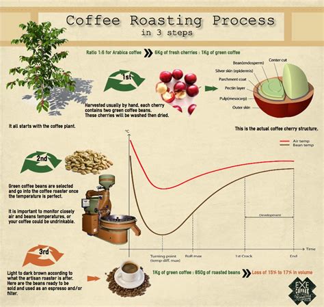 coffee process