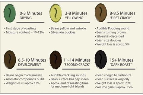 coffee roasting process step by step