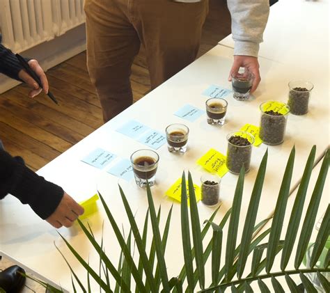 Coffee Taste Testing Near Me