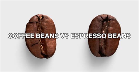 Coffee Vs Espresso Bean