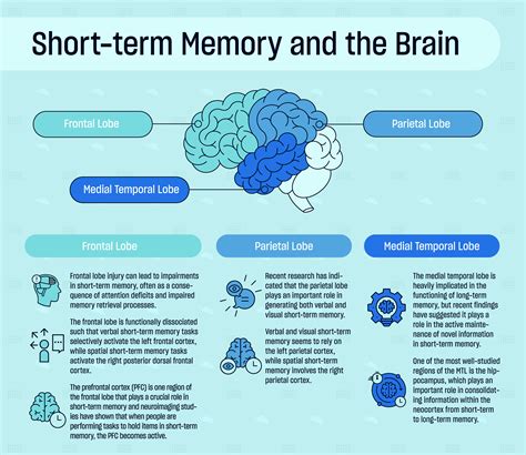 cognitive exercises for short term memory loss