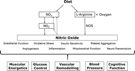 Cognitive Function Impairment Nitrous Oxide