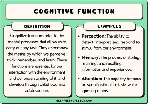 cognitive function meaning in tamil with example