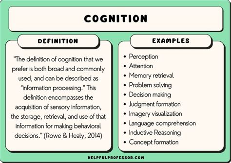 cognitive meaning in punjabi with example