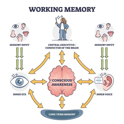 Cognitive Memory Definition