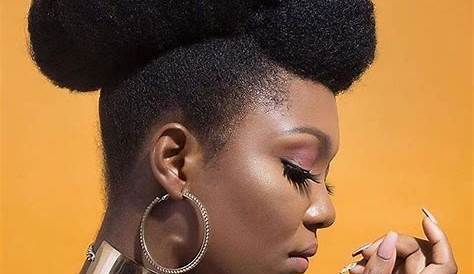 Album Les +20 top photos de coiffure afro femme cheveux