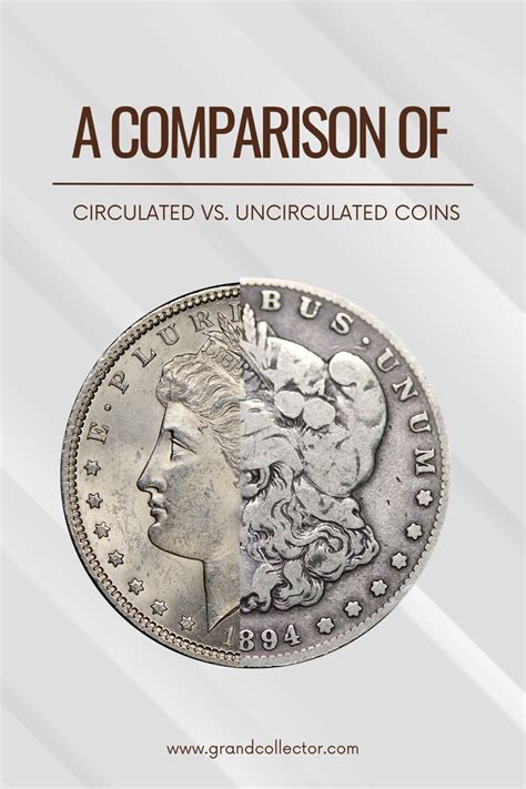 Coin Circulated Vs Uncirculated