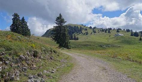 Col De La Faucille Randonnee Le Montagnes Du Jura