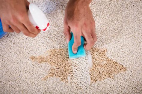 ColaFlecken entfernen » Diese Mittel schaffen Abhilfe