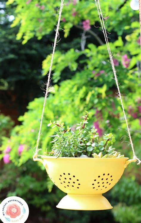 Colander Planter