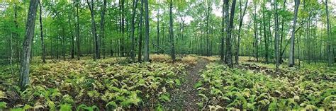 Colchester Land Trust