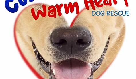 Cold Nose Warm Heart - Palm Springs, CA - Pet Supplies