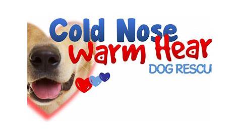 cold nose warm heart - Dog Dogs Puppy Dog Lover Paw Bulldog Do - Kołek