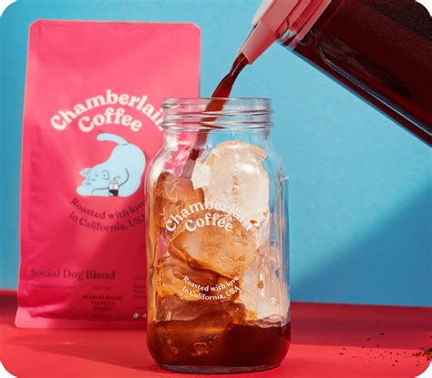 Cold Brew Starter Pack