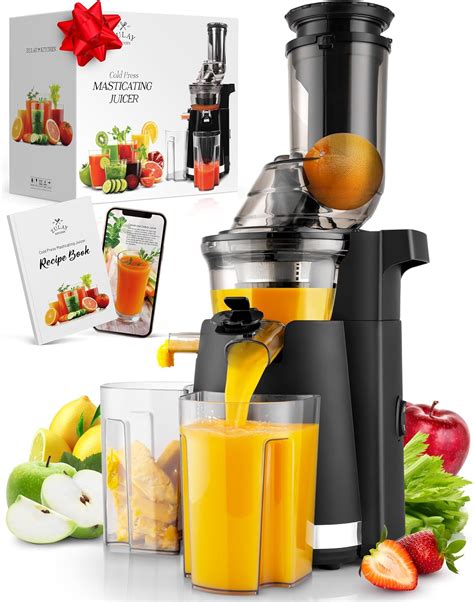 Cold Pressed Carrot Juicer Machine