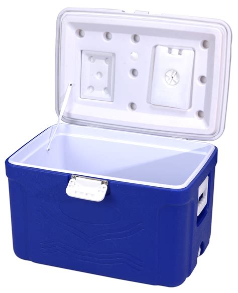 cold storage box for car