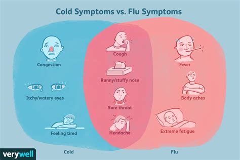 Cold Versus Flu: Spotting the Surprising Differences and Similarities