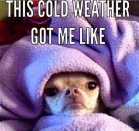 Cold Weather Memes (19 pics)