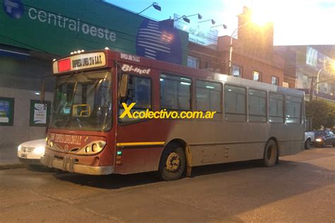 colectivos rosario buenos aires