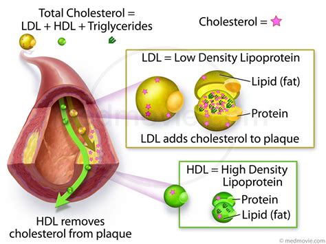 colesterol ldl y hdl valores