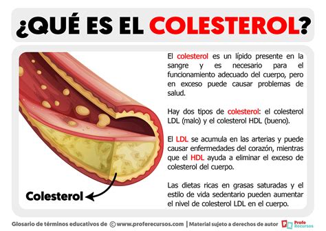 colesterol que es y para que sirve