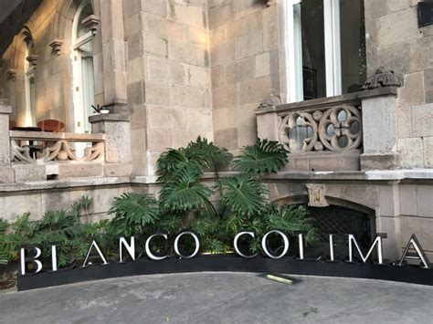 Discover the Culinary Gem: Colima Blanco Restaurant's Gourmet Experience