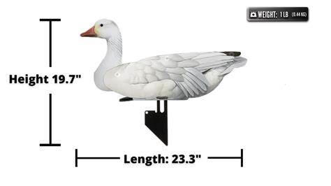 collapsible snow goose decoys