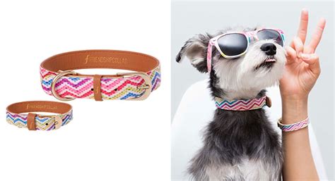 FriendshipCollar Dog or Cat Collar and Matching Bracelet Set The