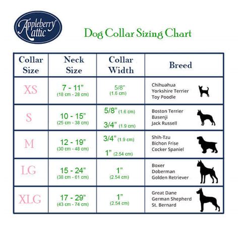 Collar Sizing Guide For Dogs