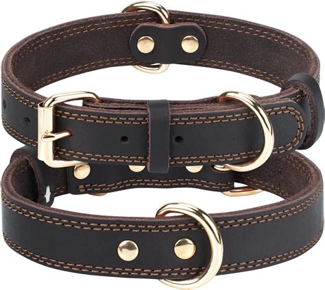 Collars On Amazon