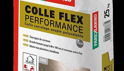 Colle Carrelage Flex Parexlanko COLLE FLEX SPECIALE PAREMENT/DALLAGE 572 Grasse Alpes
