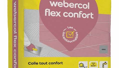 Colle Carrelage Weber Flex Point P WEBER à .fix lus (ex Fermafix lus