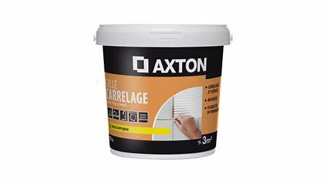 Colle Pate Carrelage Axton COLLE PATE EASY 2kg