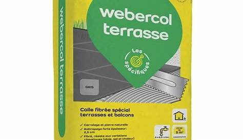 WEBER Colle carrelage mur intérieur Weber.fix plus