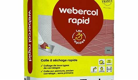 Colle Rapide Carrelage Webercol Rapid Pour à Séchage L Weber