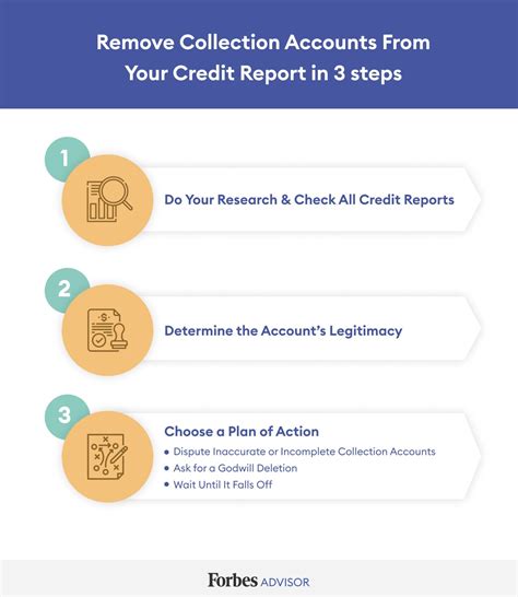 collections and credit report