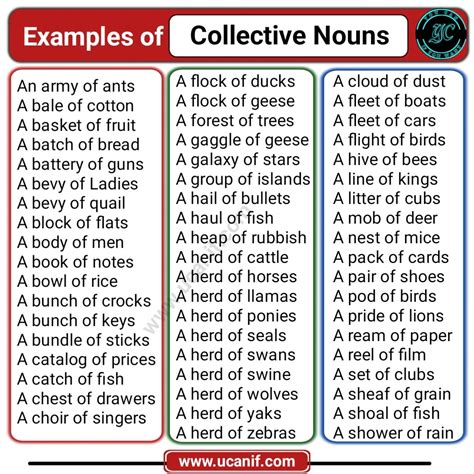 collective noun examples ks2