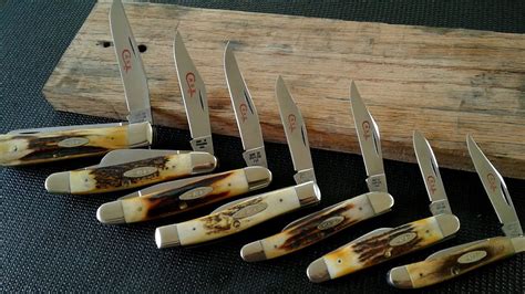 collector case knives
