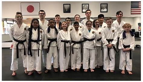 Karate & Self Defense Classes in Sterling Heights, MI | College of