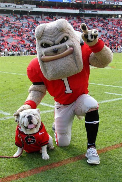 college football live georgia bulldogs