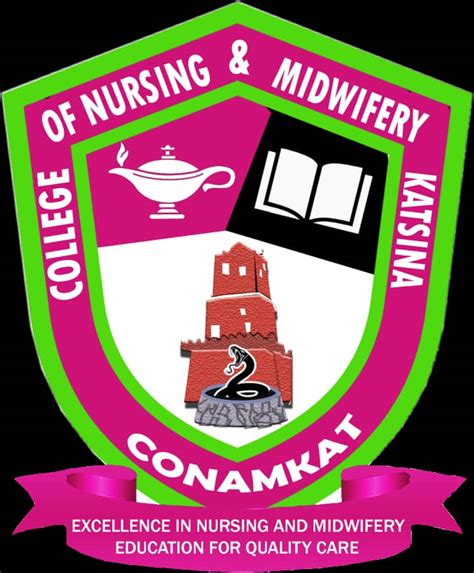 college of nursing katsina