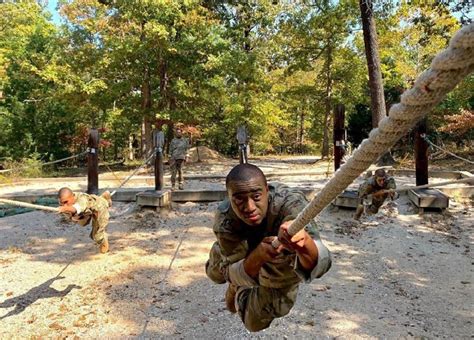 What You Need to Know About ROTC Scholarships Do It Yourself College