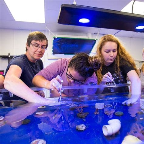 colleges that offer marine science